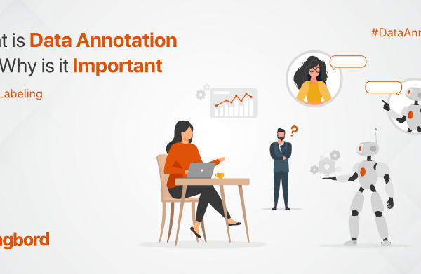 What is Data Annotation and Why is it Important