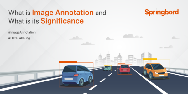 What is Image Annotation and What is its Significance