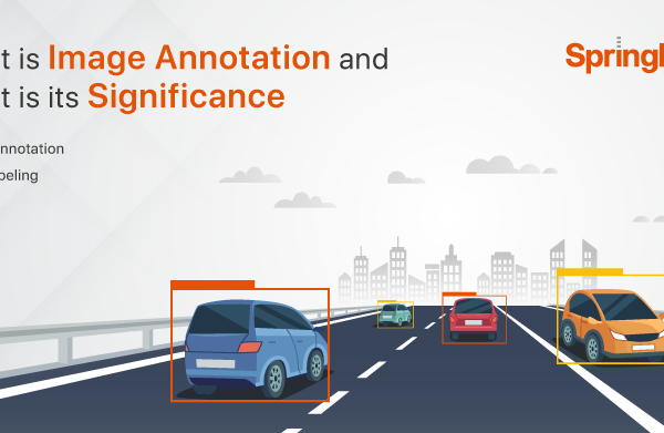 What is Image Annotation and What is its Significance