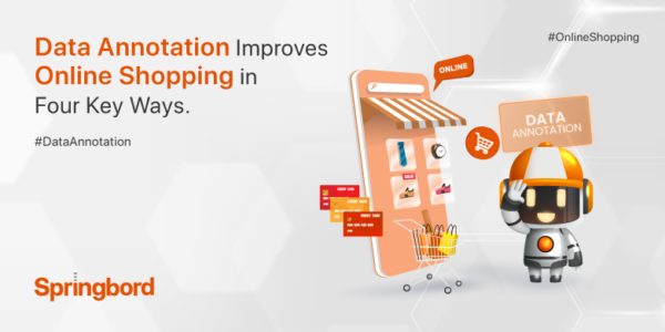 Data Annotation Improves Online Shopping in Four Key Ways￼
