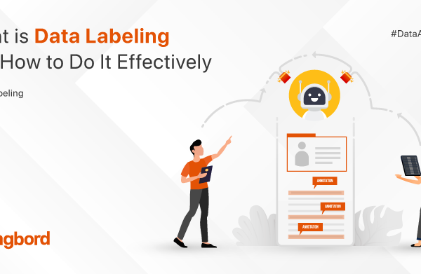 What is Data Labeling and How to Do It Effectively￼