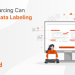 Data Labeling Companies